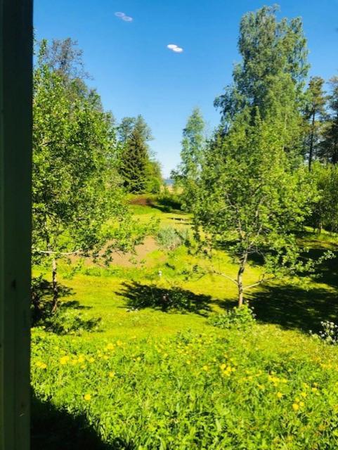 Altja Villa-Cottage With Sauna Экстерьер фото